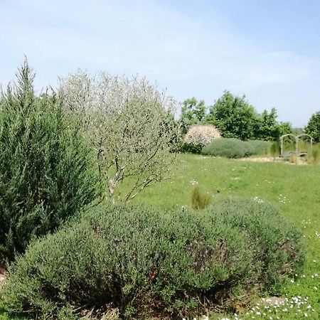 Le Grand Paradis Morannes sur Sarthe-Daumeray Exterior photo